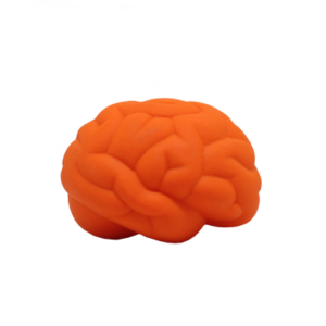 010090671 (1)