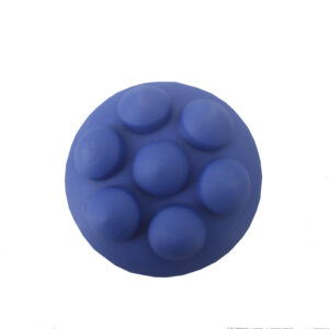 010090685 (1)